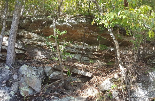 Cabins on Brushy at Smith Lake