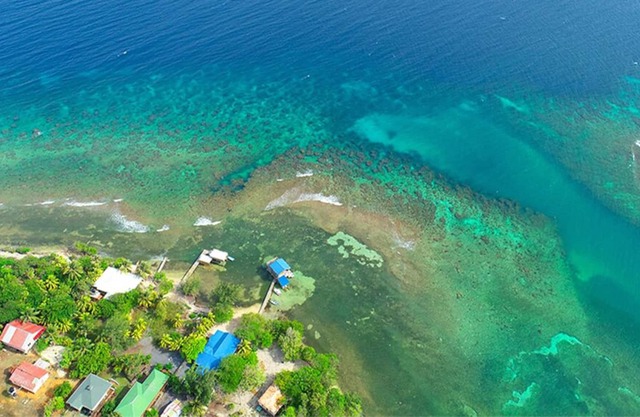 Calabash Bight Cabins with Breakfast, Beach & Kayaks