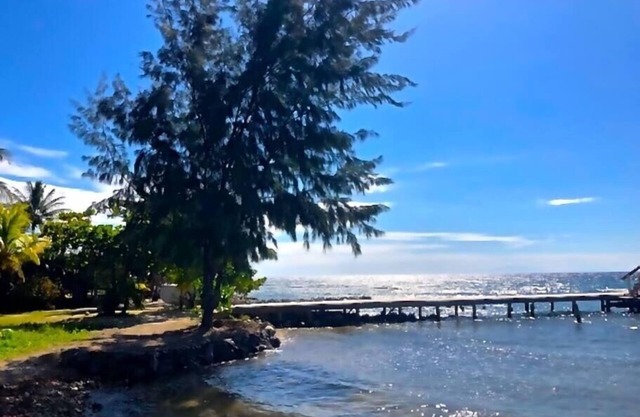 Calabash Reef House, 2 Bedrooms- Steps To The Ocean