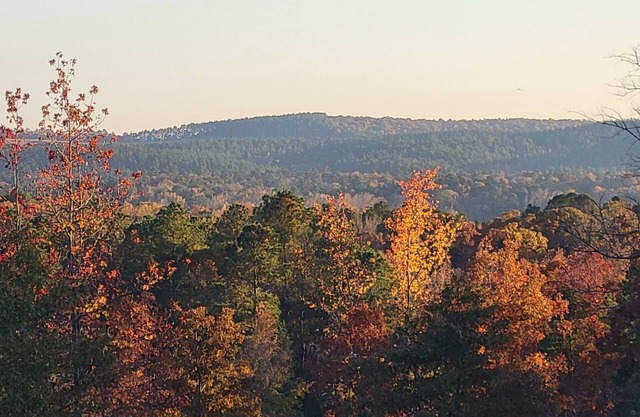 Camp less than a mile from Kirby Landing, Cowhide Cove Mountain Views