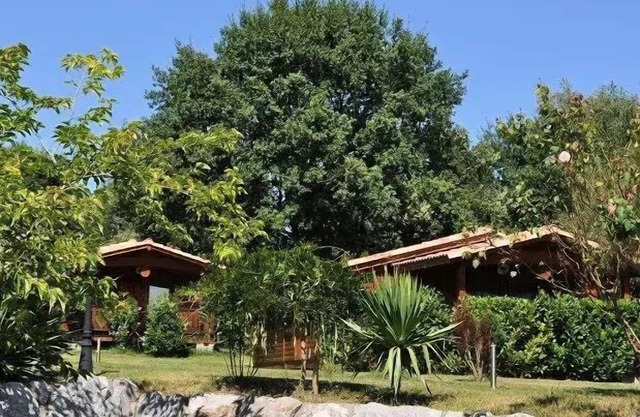 Campsite Midi Pyrenees * - Chalet 1 bedroom 2 people