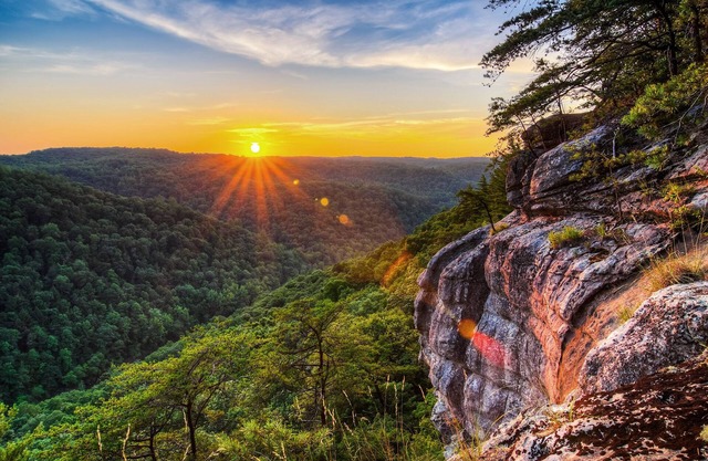 Canoe Cove | New Build, Spectacular Lake Views + Direct Access to Douglas Lake!