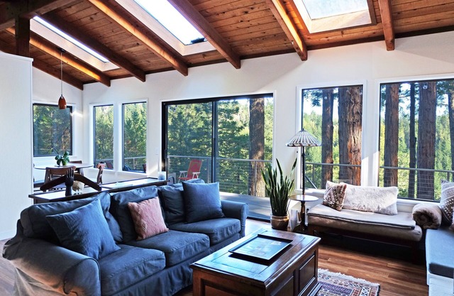 Canyon View Cabin in the Redwoods