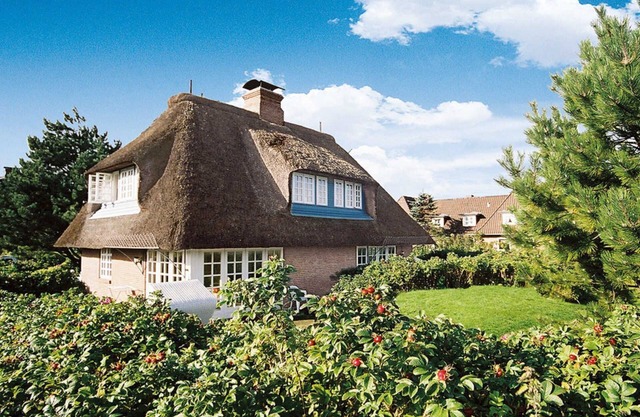 Captain Cook 4 from A&M - Captain Cook 4