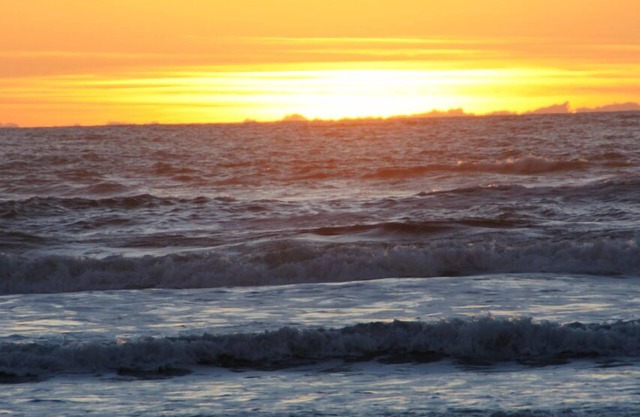 Carefree Days at The Beach