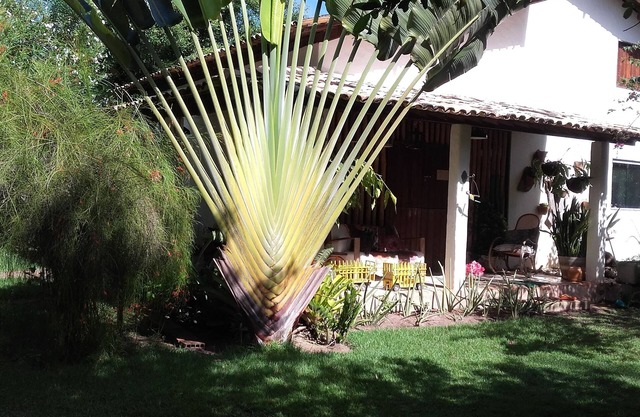 CASA AMORA; well-being in Milagres. Here you and your family will live happy days!