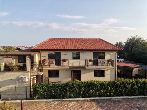 Casa Adina David