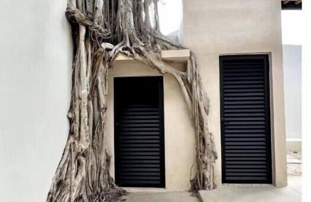 Casa Álamo in Downtown Merida, pool, 2 br