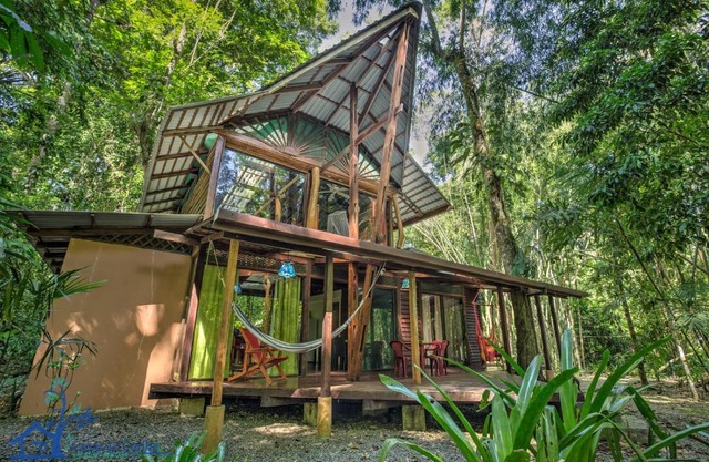 Casa Auratus Exotic Jungle House