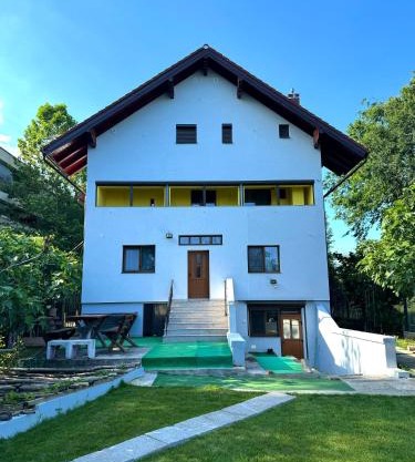 Casa Badea Tinica