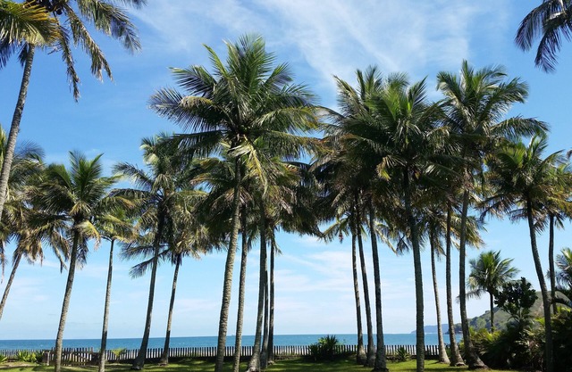 Casa Barequeçaba - 3 suites - Foot in the sand. 10 people. https:/abnb. me/nsmwa62Qs