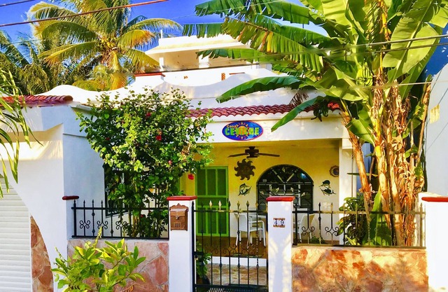 Casa Ceviche: New Offering in the Colinias