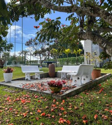 Casa de Vidro Sairé