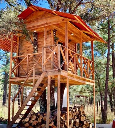 CASA DEL ARBOL en la Sierra de Durango