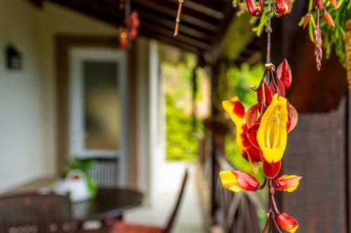 Casa do Jardim Botanico