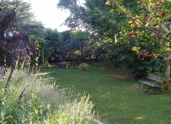 Casa en Luján de Cuyo con pileta