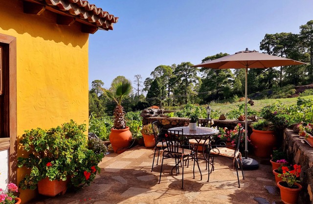 Casa Federico, surrounded by pine forests and vineyards in Puntagorda, island of La Palma