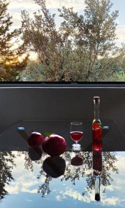 Casa Horizon