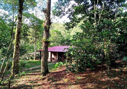 Casa Leslie Lodge - Lagunas de Montebello