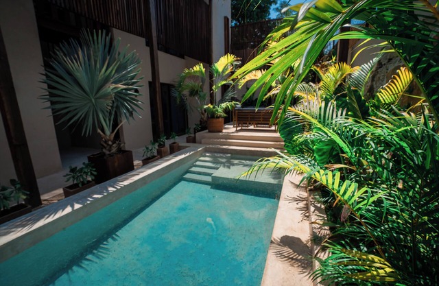 Casa Mandarina Downtown With Pool