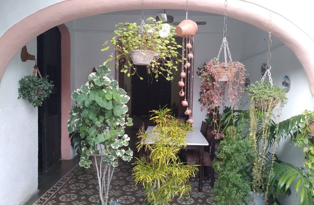 Casa Maria y David
