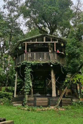 Casa Na Árvore