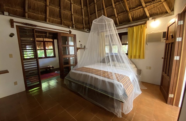 Casa Selva, nestled in one of the few remaining pieces of jungle