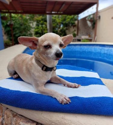 Casa Sol y Luna with pool in Merida Yuc