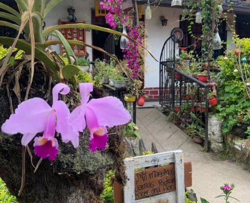 Casa Tr3bol Hospedaje en Venecia