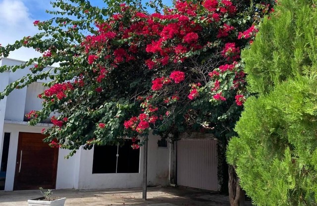 Casa Verano do Francês