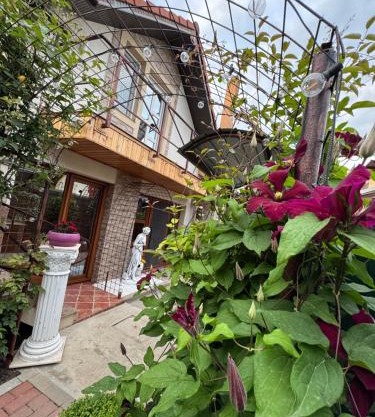 Casa Viselor de vară