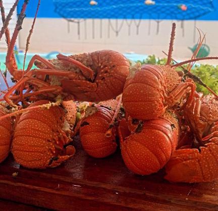 Casas de temporada Lene Andrade