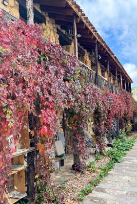 Casas Rurales Chon Alto Tajo