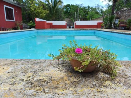 Casona Santa Cruz Palomeque