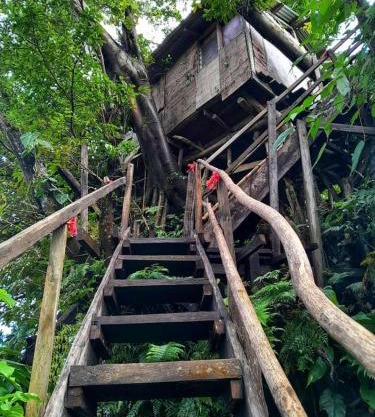 Castle Tree House And Bungalow