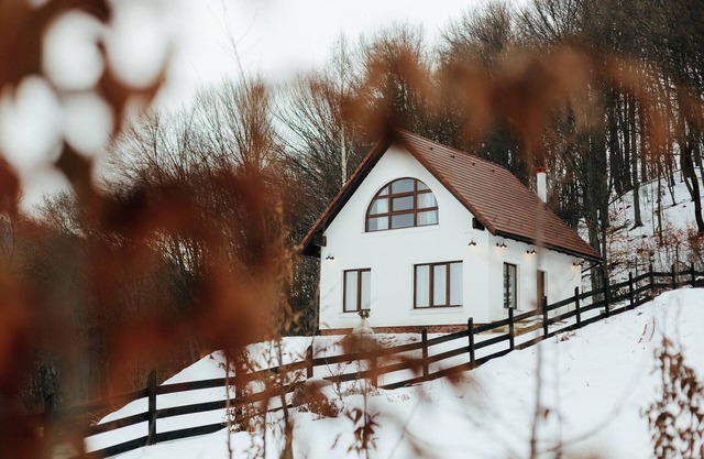 Casuta Boema (Boema Cottage) New construction