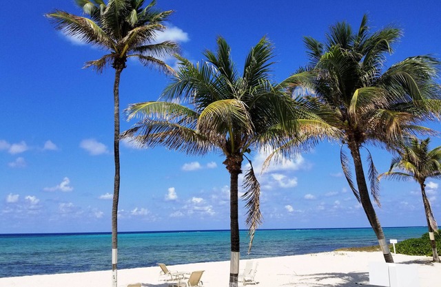 Cayman White Sand Beach + Quiet Pool = Relaxation