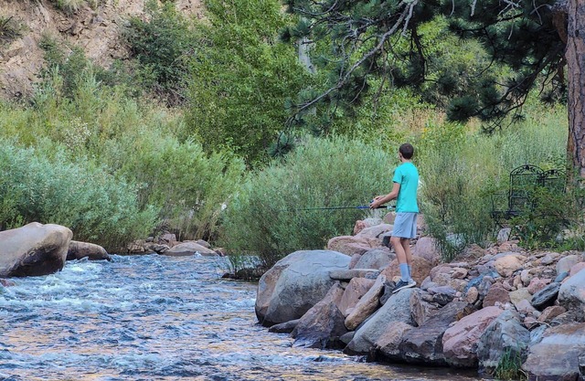 Cedar Cabin*Fireplace*RMNP!