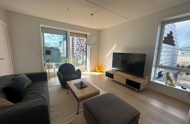 Central Luxurious Apartment Barcode Oslo