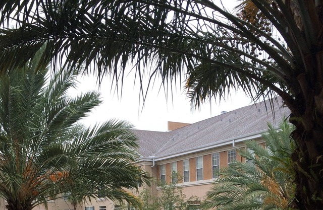 CENTRAL Minutes from TPA, Mall, restaurants, Bucs Stad, Steinbrenner Field, etc