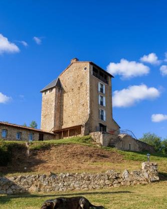 Château Montegut Hébergement atypique
