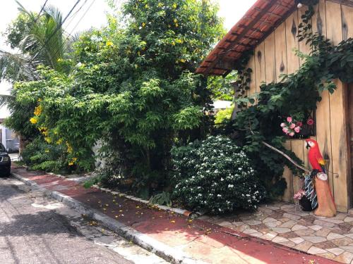 Chalé Natureza8 Amazonia - Belem