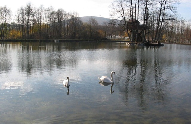 CHALET CIGOGNE