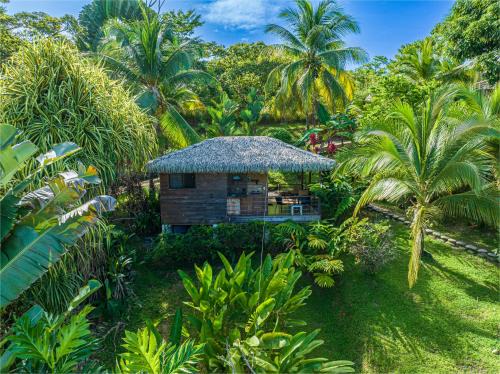 Chalet Jardin Tropical