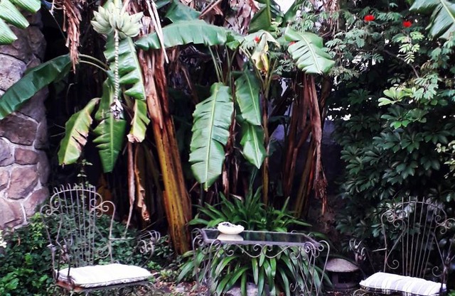 Chalet Las Nenas B&B