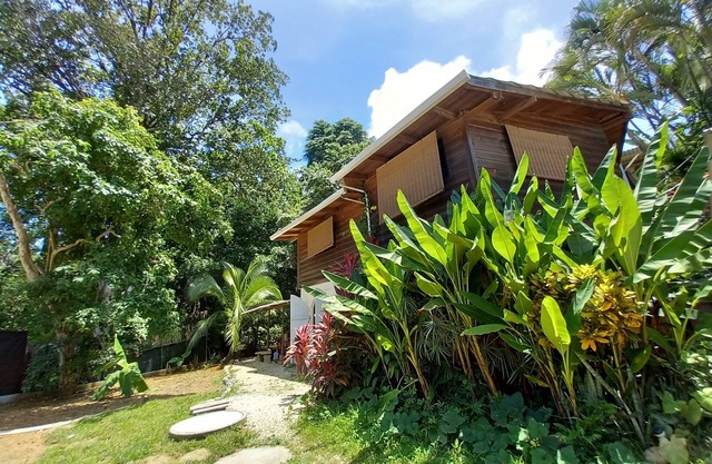 Chalet with jungle view deck on a river in lively Santa Teresa's surf town