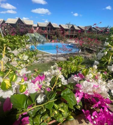 CHALEVILLE Coqueiro 46