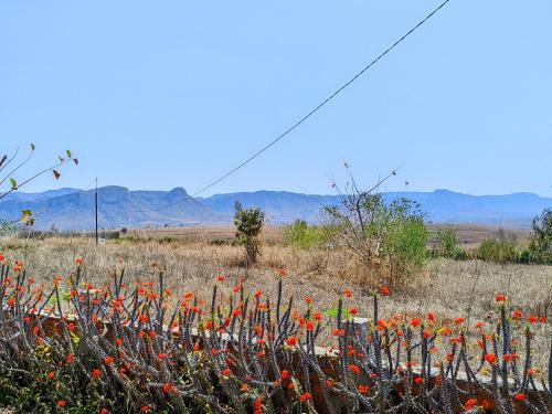 Chambre d'hôte Ristorante Pizzeria Liberta