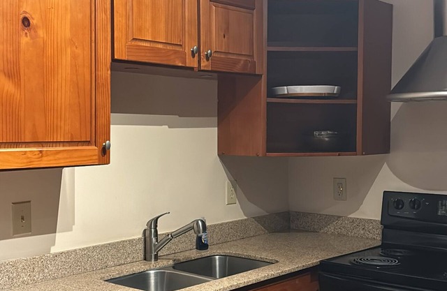 Charming 1-bedroom condo in Downtown Greensboro with AC, WiFi, fitness room