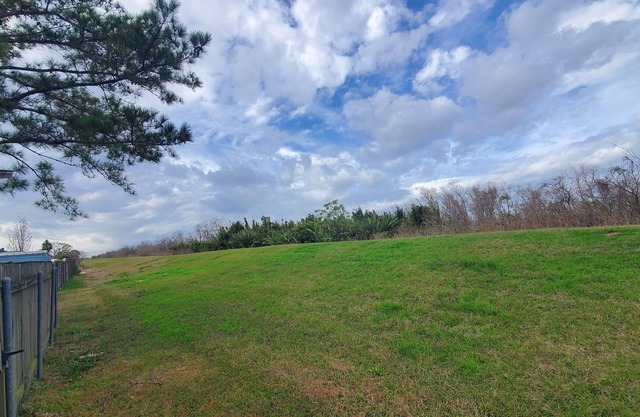 Charming 1-bedroom house with WiFi and AC in delightful New Orleans